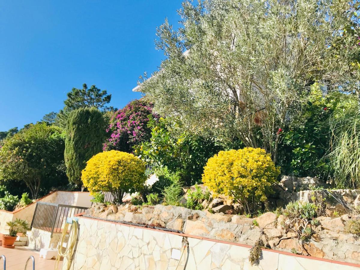 Mediterranean Villa Investingspain Sea View And Pool 滨海略雷特 外观 照片